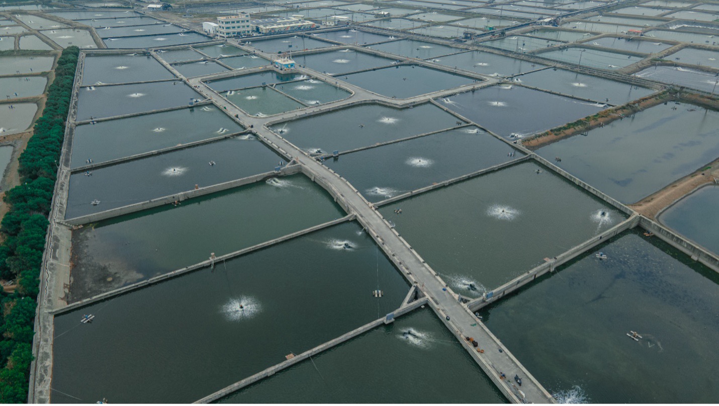 Taiwan’s First Seafood Farm Joins the Improver Programme by ASC, Advancing Responsible Aquaculture