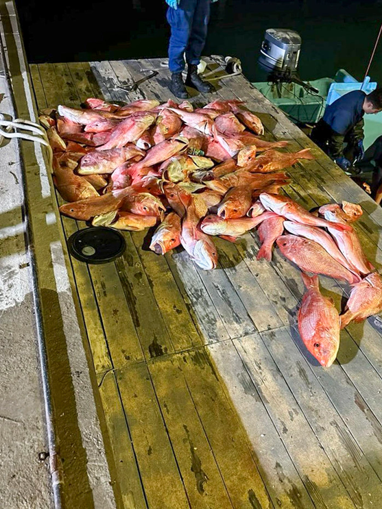 USCG Seizes 9 Sharks and 1,350 lbs. of Illegally Caught Fish From Mexican Fishermen Off Texas Coast