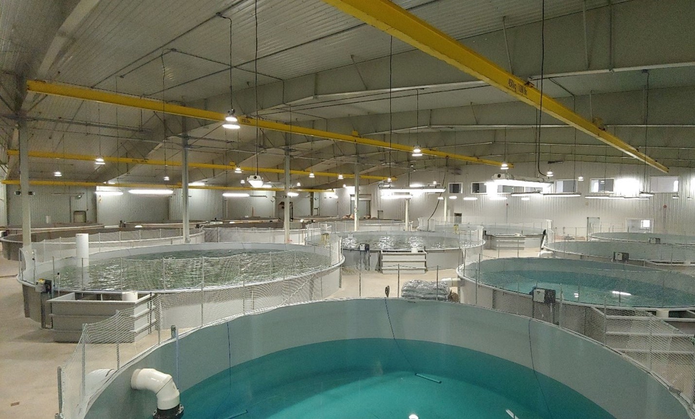 Cookes Atlantic Canadian Subsidiary Acquires AquaBounty’s PEI Operations