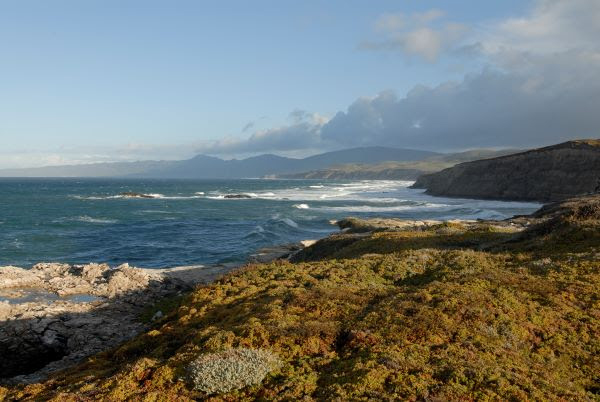 New California Sanctuary Proposal Looks to Add Protections to Coastline