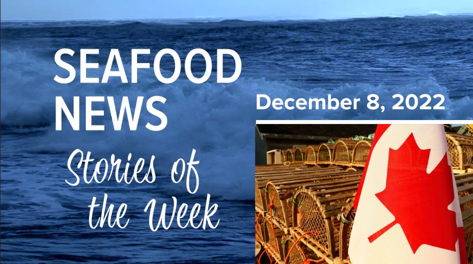VIDEO: October Shrimp Imports; Maine Lobsters Ongoing Fight; Opening of LFA 34