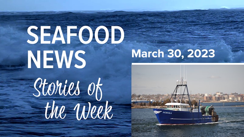 VIDEO: Blue Harvest Strategy Shift; Norway Salmon Tax; NL Snow Crab Price Negotiations