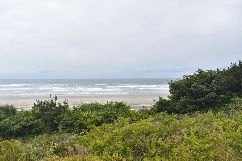 Cable Installation Begins Soon for Wave Energy Facility Near Newport, Oregon