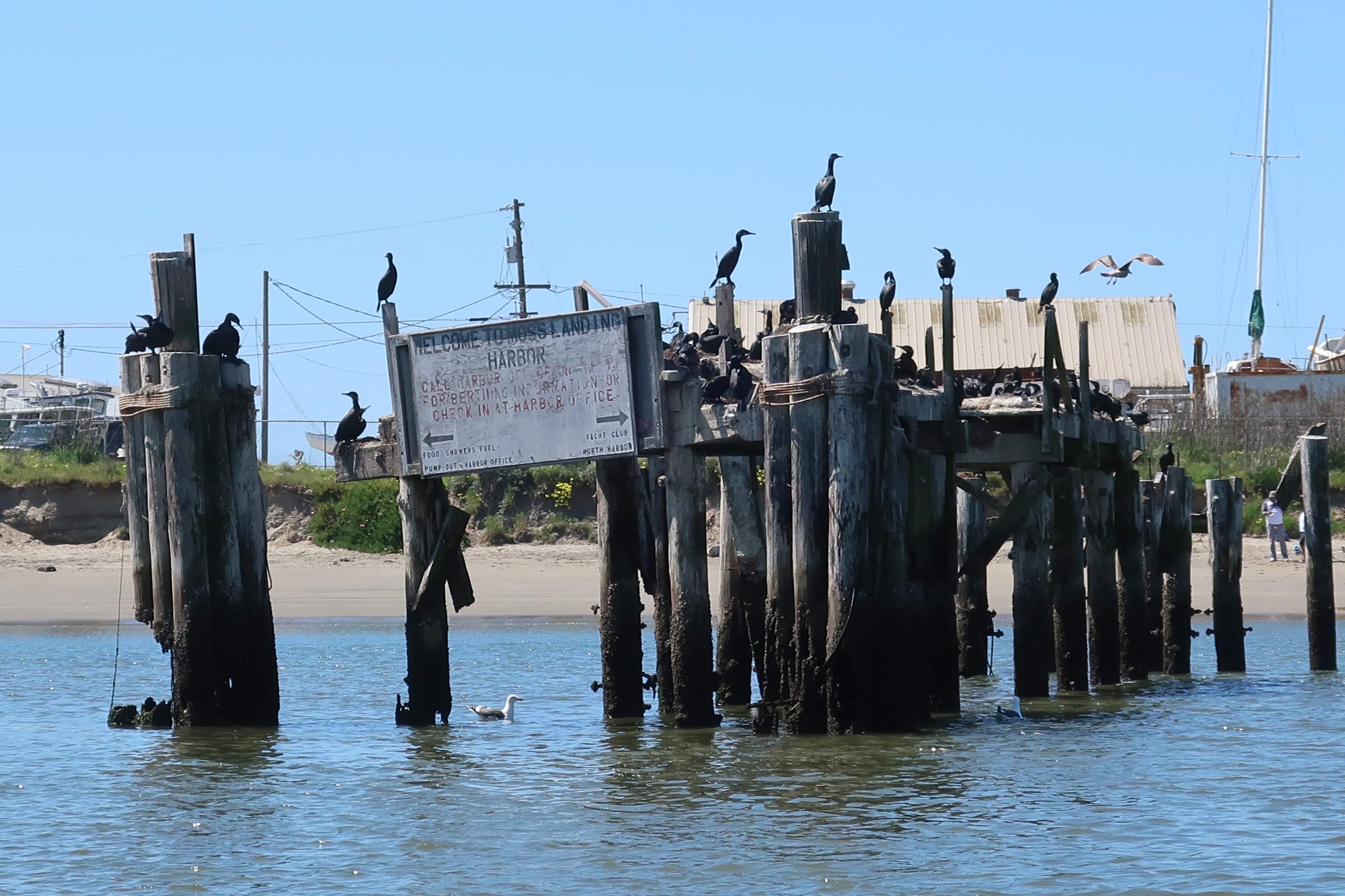 West Coast Fisheries Infrastructure Waxes and Wanes: Part 1