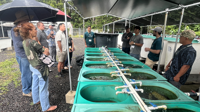 University of Hawaiʻi Study: Saltwater Recirculation Systems Boost Tilapia Growth by 15%