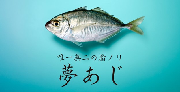 Startup Fishery Sakana Dream Debuts New Farmed Japanese Jack Mackerel Variety, “Yumeaji”