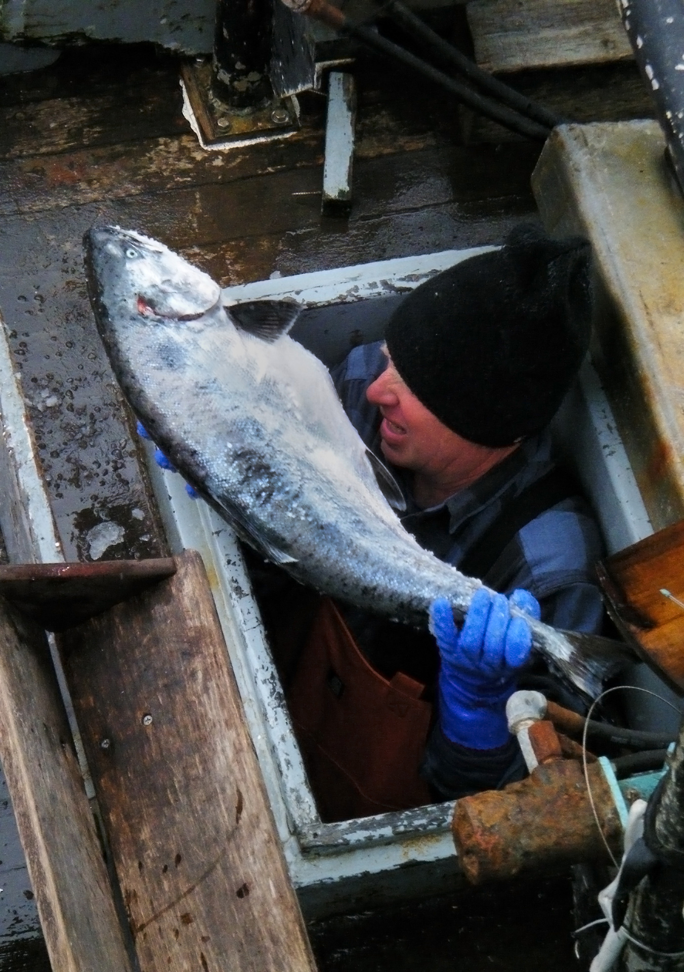 Commerce Department Makes Several Fishery Failure Determinations for West Coast Fisheries
