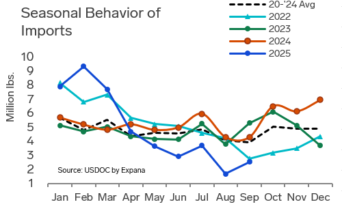 ANALYSIS: US Scallop Import Disconnect as Modest Declines Reveal Deeper Market Pressures