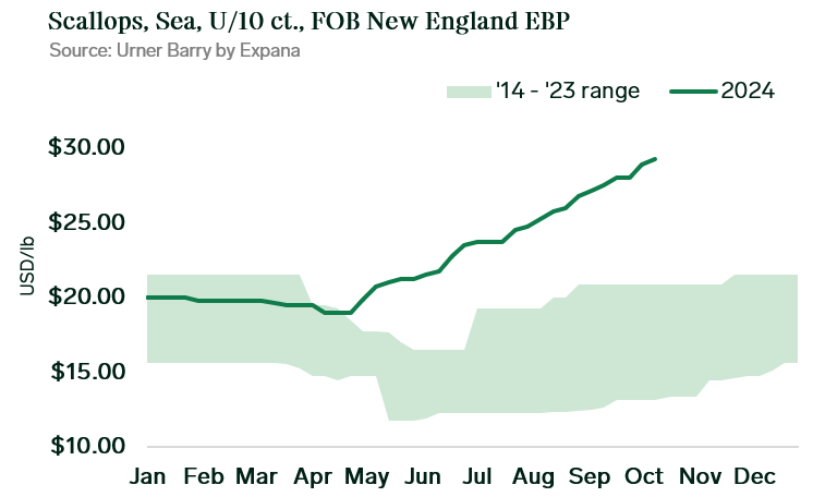 ANALYSIS: Domestic Scallop Prices Soar to Record Highs Amid Supply Shortages