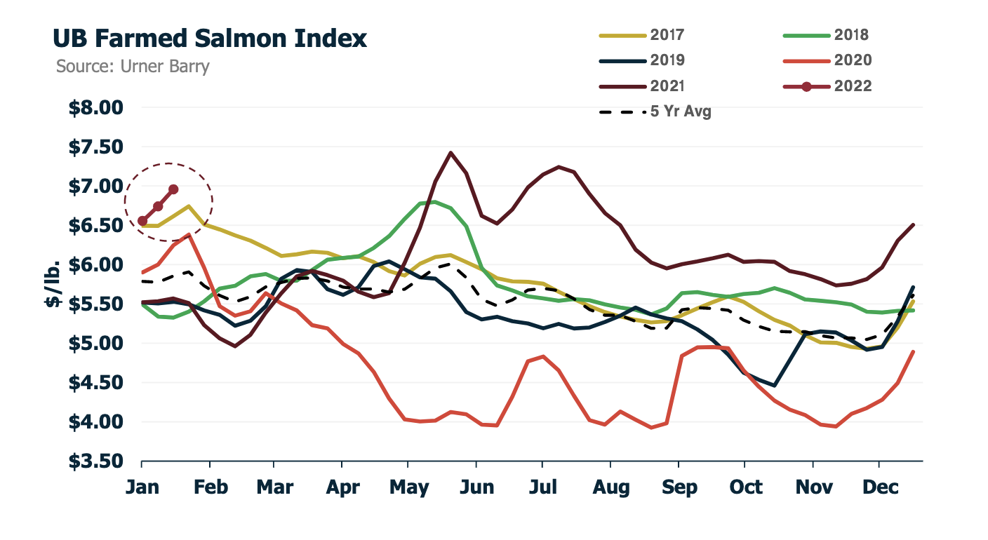 ANALYSIS: Salmon Market Continues Upward Swing Amid Supply Constraints