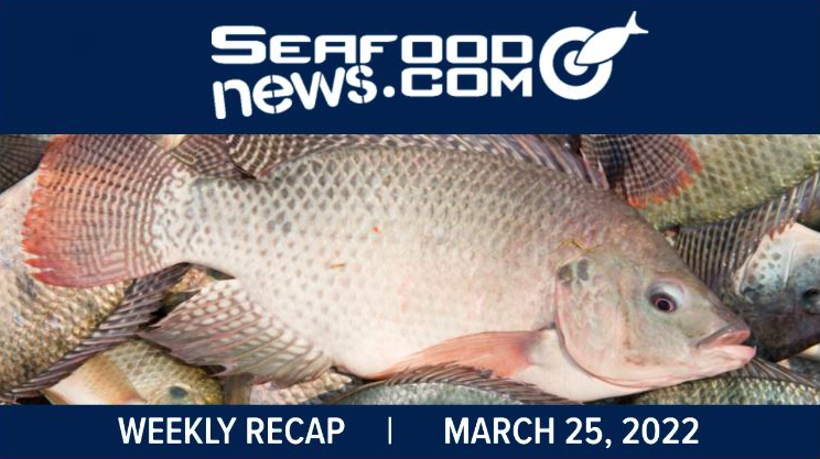 VIDEO: Most Favored Nation Treatment; Fresh Tilapia Update; China Suspends Shrimp Importers