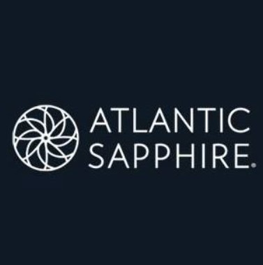 Atlantic Sapphire Lands Former Cermaq Exec As Deputy CEO As Search For New CEO Continues