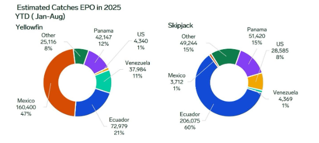 ANALYSIS: EPO Yellowfin Landings Surge While Skipjack Declines