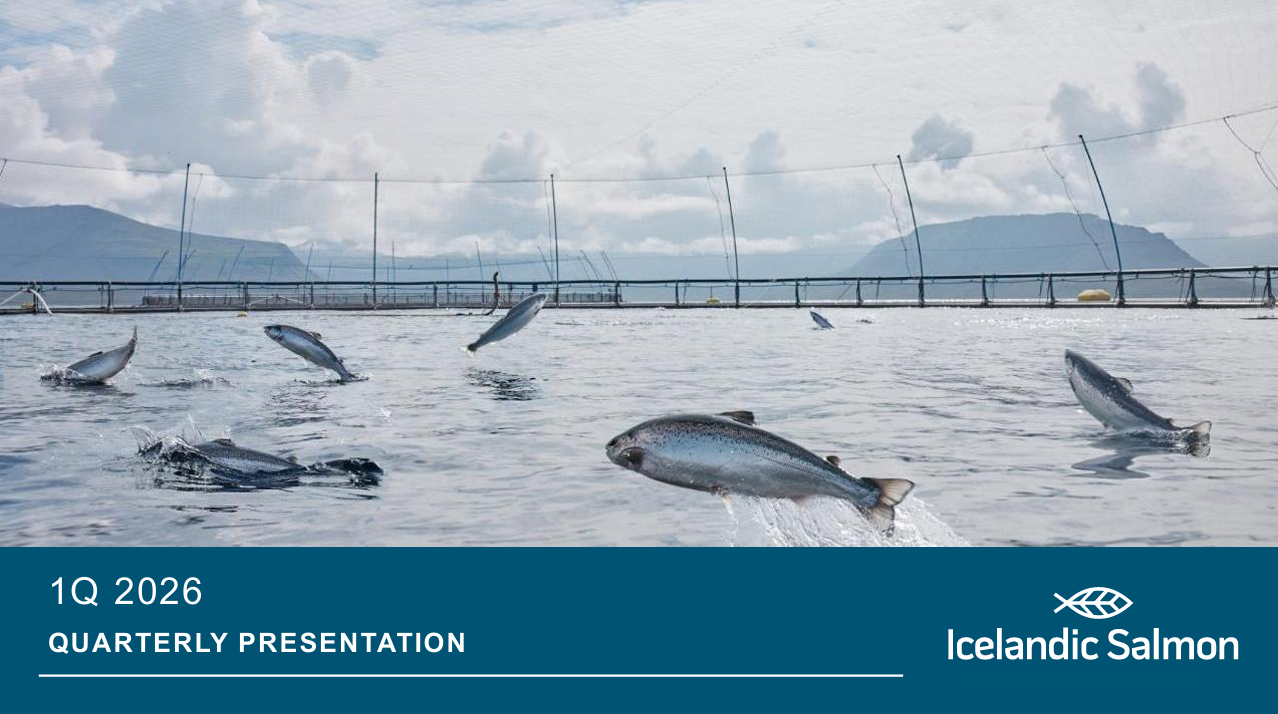 Icelandic Salmon Reports Near Break-Even Q1 as Operations Strengthen