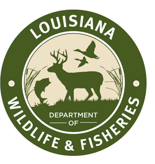 Louisiana Harvesters Cited after Unrefrigerated Oyster Catch Seized