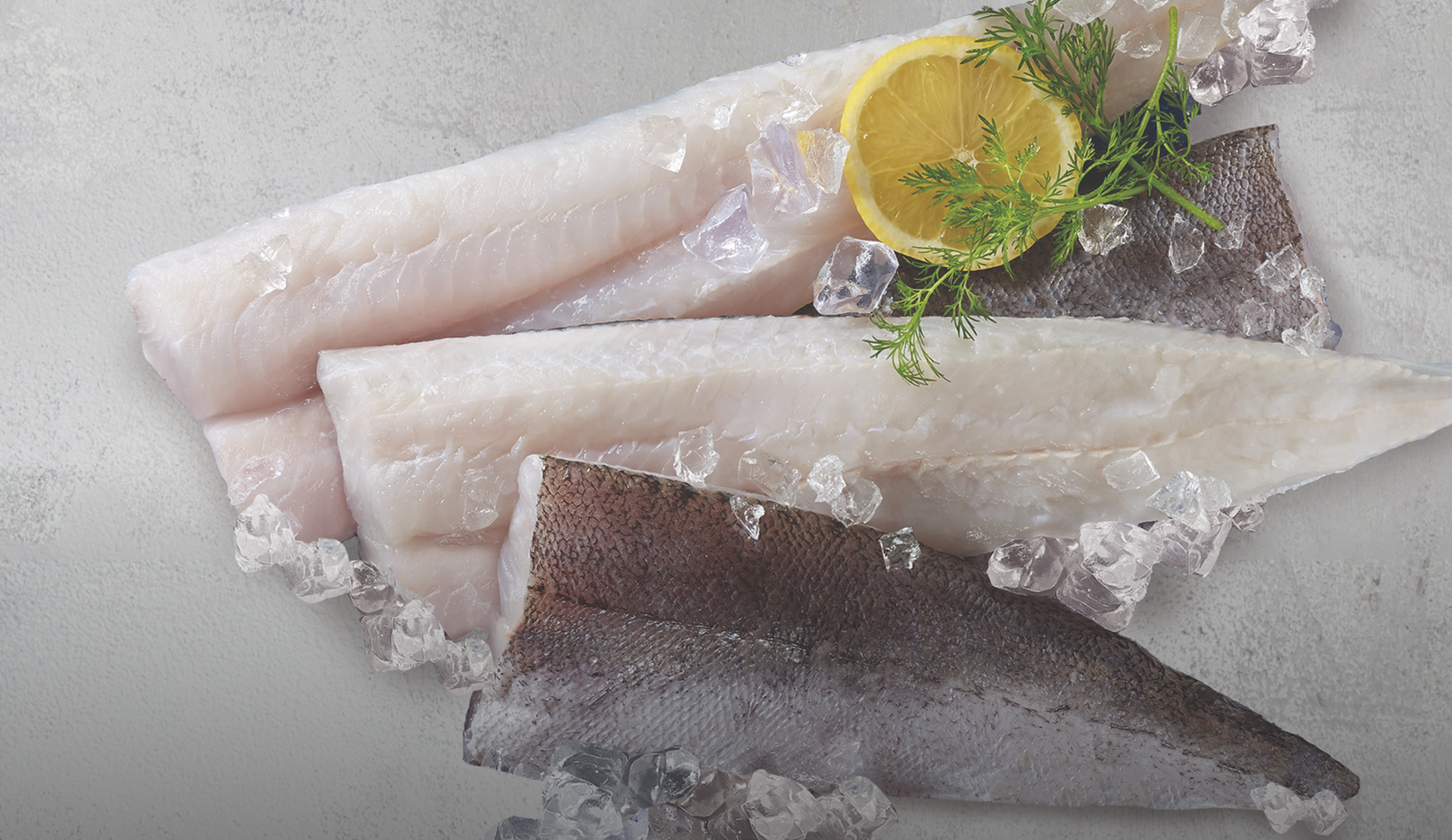 Southstream Seafoods to Source Sea Harvests Products Under Exclusive US Agreement