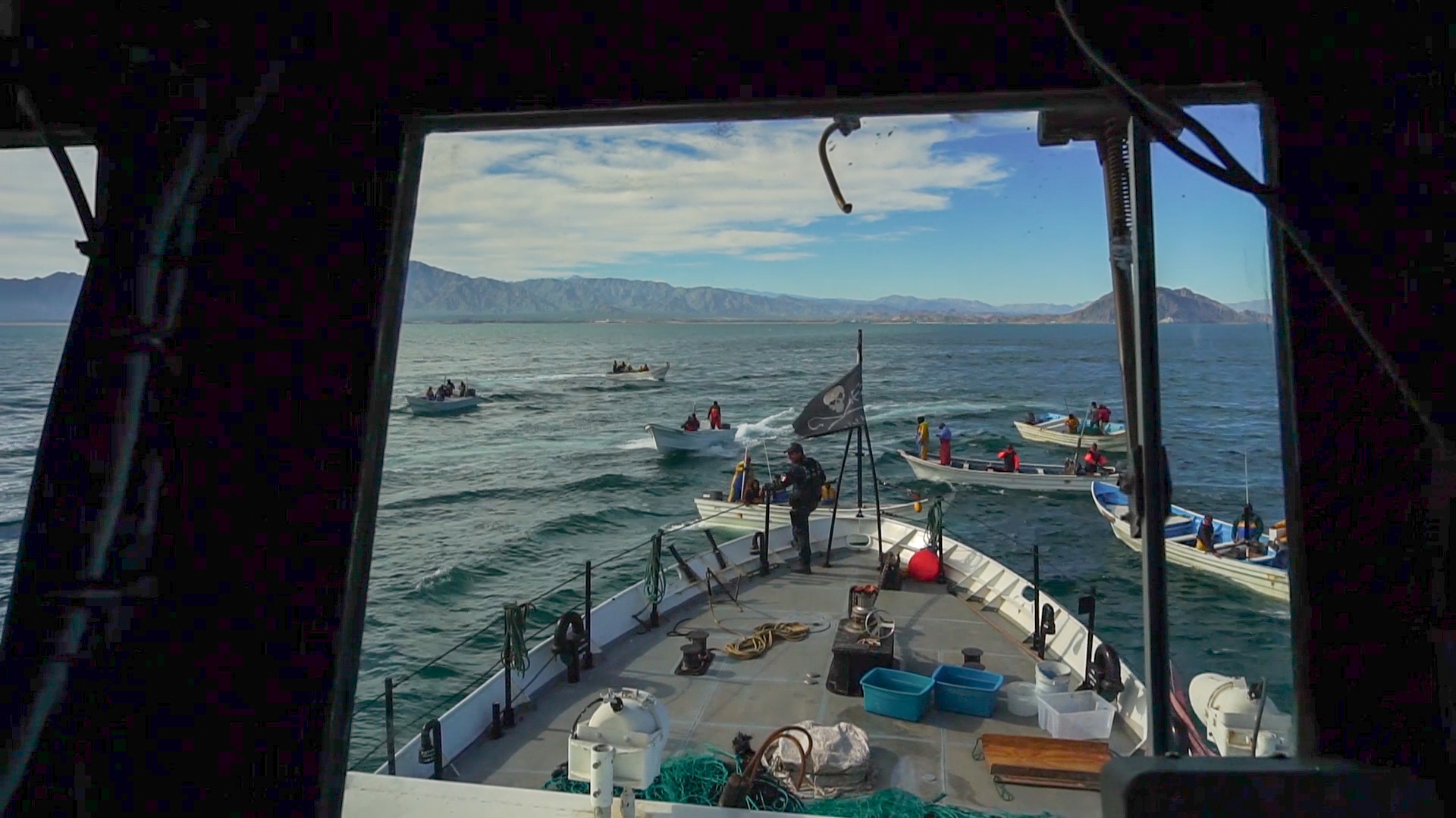 VIDEO: Sea Shepherd Vessel Attacked While Patrolling Vaquita Refuge in Gulf of California