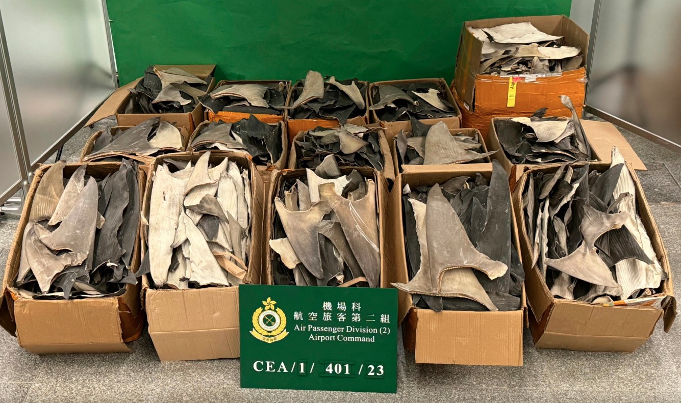 Hong Kong Customs Agents Seize Suspected Smuggled Hairy Crabs, Dried Shark Fins in November