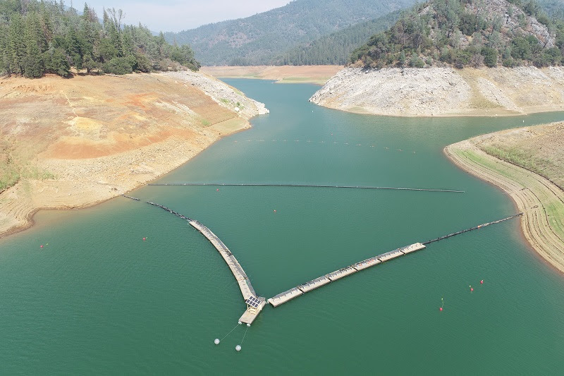 Testing Under Way for Pilot Project to Return Endangered Salmon to Their Historic Habitat