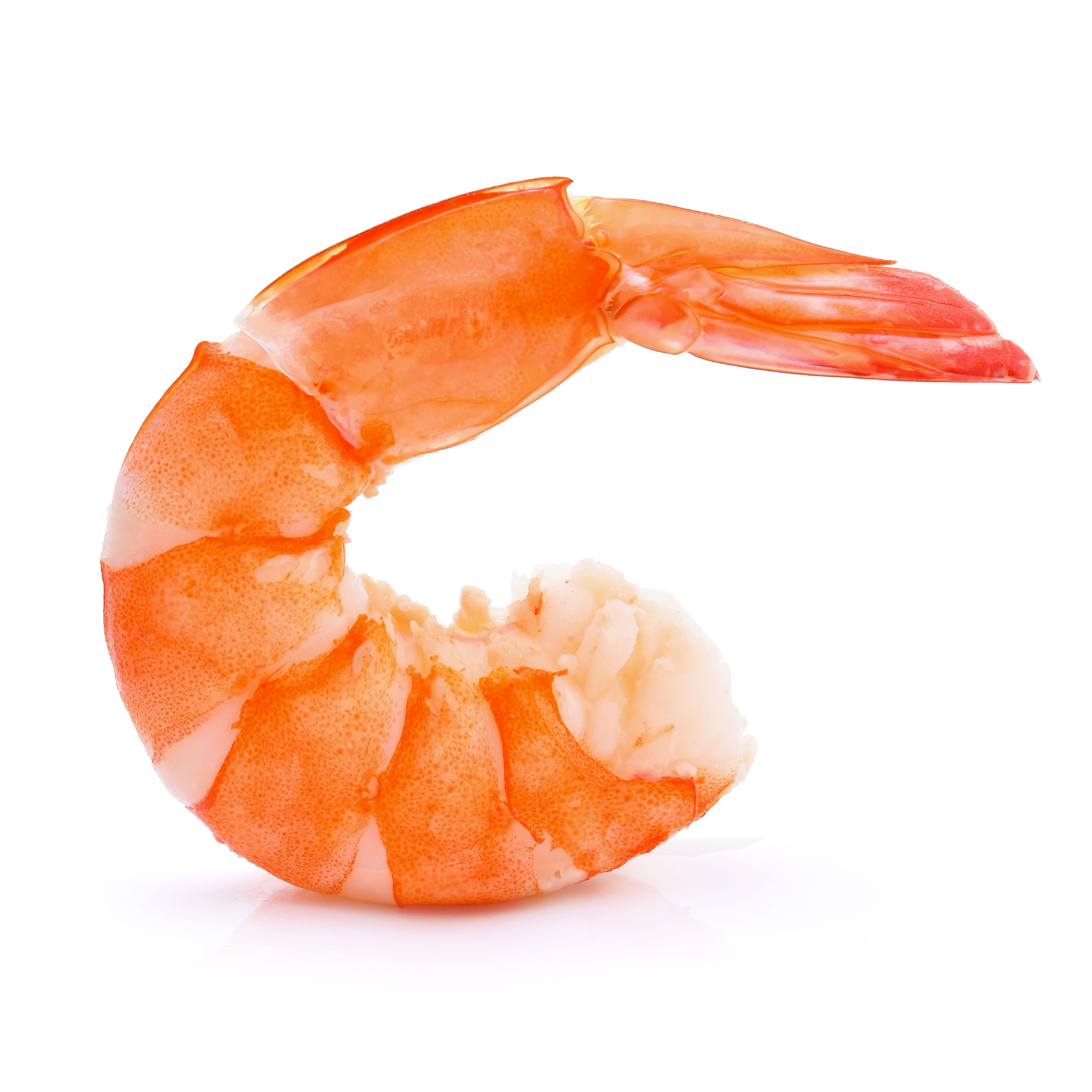 UB Consulting: Have Shrimp Prices in the U.S. Reached a Bottom?