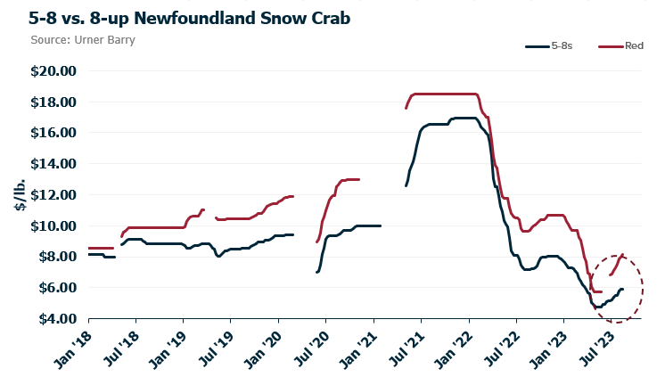 ANALYSIS: Larger Snow Crab Volumes Light; Retail Remains Active