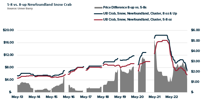 ANALYSIS: ﻿Snow Crab Continues to Weaken Ahead of Open