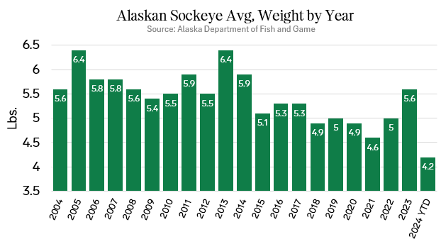 ANALYSIS: Rising Sockeye Prices Amid Declining Supply and Smaller Fish