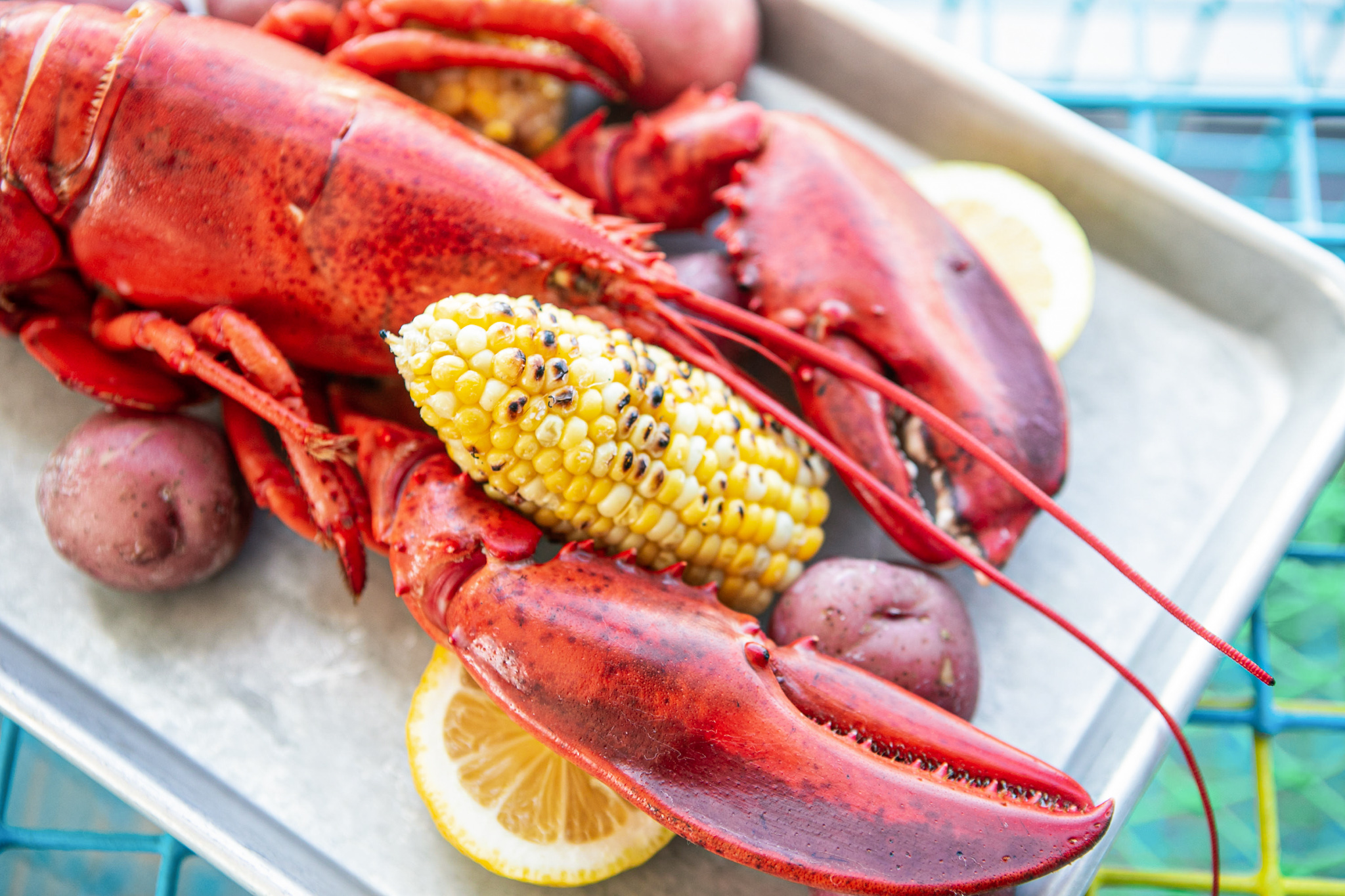 Industry Set to Celebrate First-ever Maine Lobster Week and National Lobster Day
