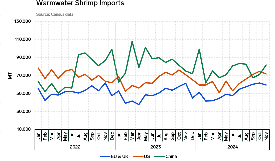 ANALYSIS: November 2024 Marks a Pivotal Shift in the Warmwater Shrimp Market