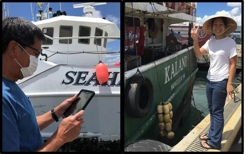 WPRFMC, NMFS Modernize Catch Reporting for Hawaii, American Samoa Longliners