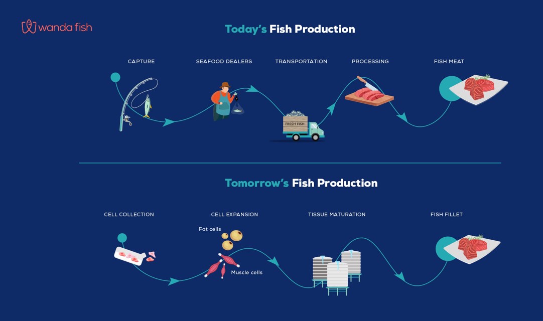 Wanda Fish Technologies Enters Collaboration with Tufts University