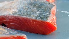 Alaska Governor Walker Declares October as Alaska Seafood Month