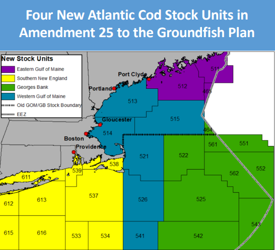 NEFMC: Groundfish Council Gives Thumbs Up on Amendment 25, Preps for Final Action on Framework 69