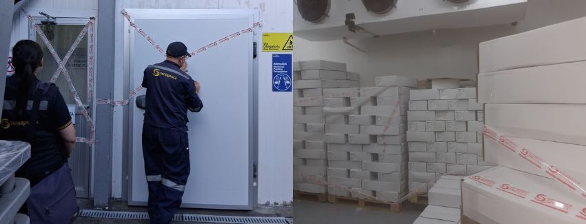 Chile’s Sernapesca Raids Illegal Processing Plant, Seizes 6 Tons of Salmon