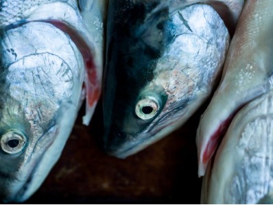 Bristol Bay Catch Exceeds 20 Million Sockeye, Total Run Now at 27.5 Million