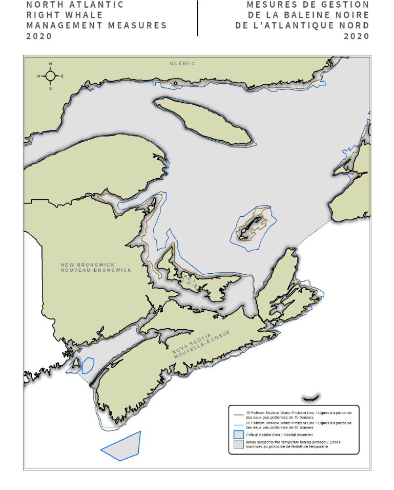 Canadian Government Implements 2020 Right Whale Protection Rules