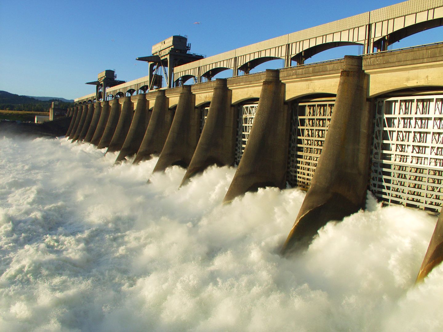 Wild Fish Have Not Improved in Columbia River Basin, Despite Investments in the Billions