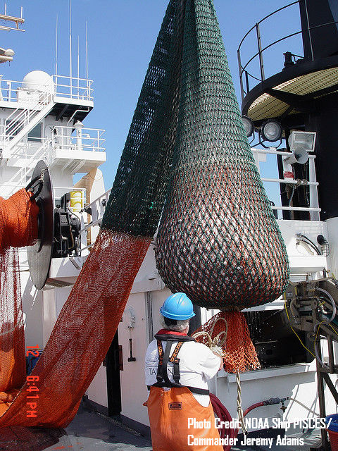 North Pacific Council Looks at Limits for Cod Deliveries to Motherships in the Bering Sea