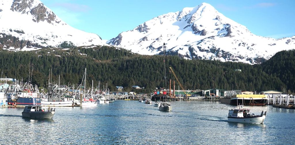 Copper River Sockeye Continue Strong, Prince William Sound Opens June 1 for Salmon Seining