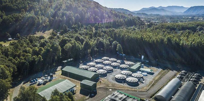 AI Biomass Cameras Enable Individualized Growth Strategies in Aquaculture