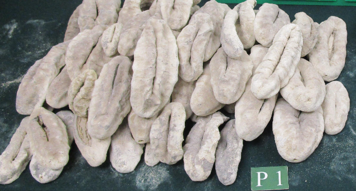 PHOTO: Hong Kong Customs Seizes 18 Kilograms Of Dried Sea Cucumbers