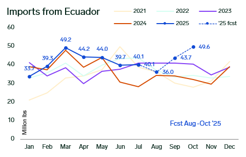 ANALYSIS: US Shrimp Import Estimates and Retail Signals Point to a Tightening, Form‑Specific Market