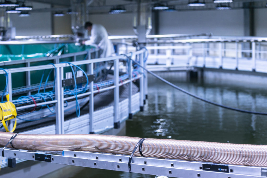 Nordic Aquafarms Subsidiary Fredrikstad Seafoods Receives First Shipment of Smolt