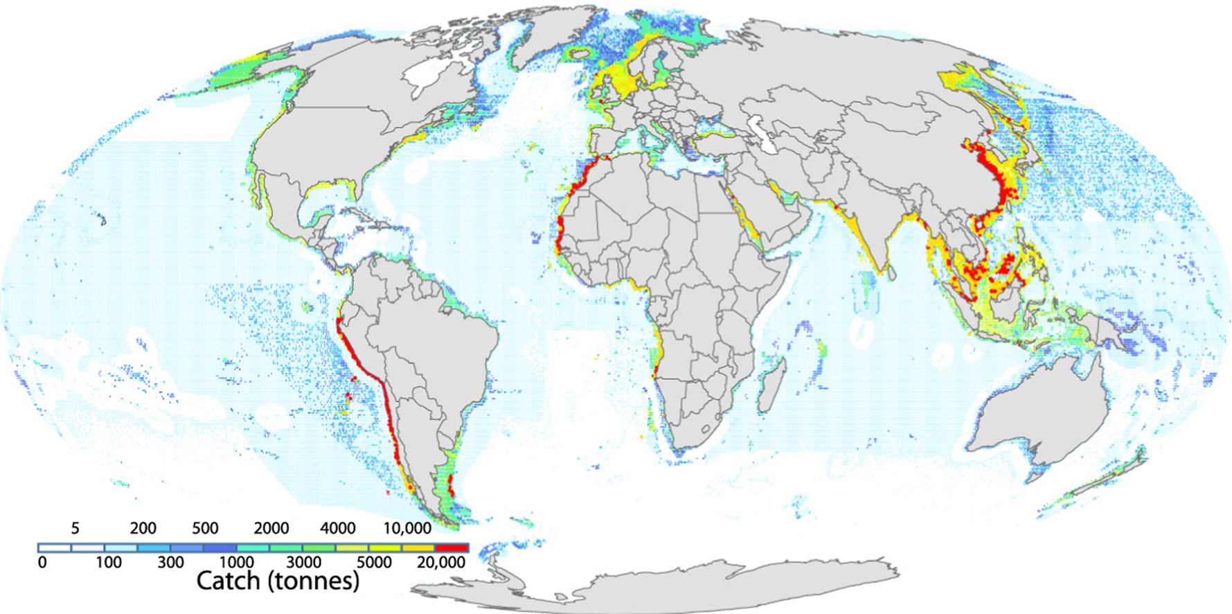 Researchers Map Global Fishing Patterns From 1869 to 2015