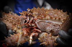 Bering Sea Crabbers Getting Ready for Fall Season; Last Years Price Settlements Complete