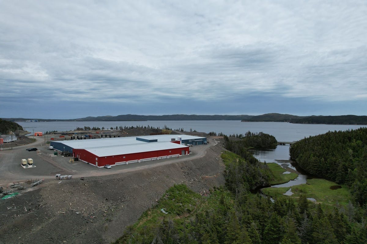 Grieg Seafood Newfoundland Detects ISA in Salmon Parr at Marystown Facility