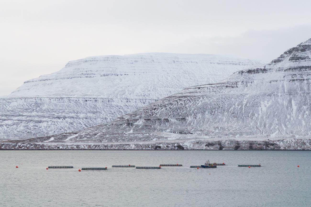 BioMar, Síldarvinnslan Partner to Develop High-Tech Aquafeed Production Facility in Iceland