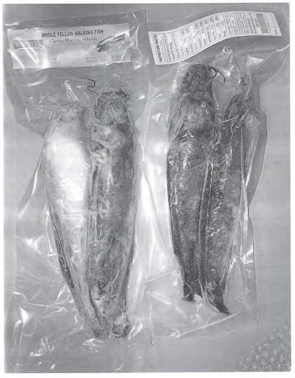 J Deluca Fish Company Recalls Siluriformes Products Produced Without Benefit of Import Inspection