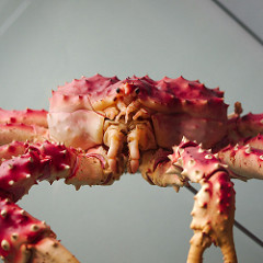 With Sufficient Supply, King Crab Becomes More Common and Popular in China
