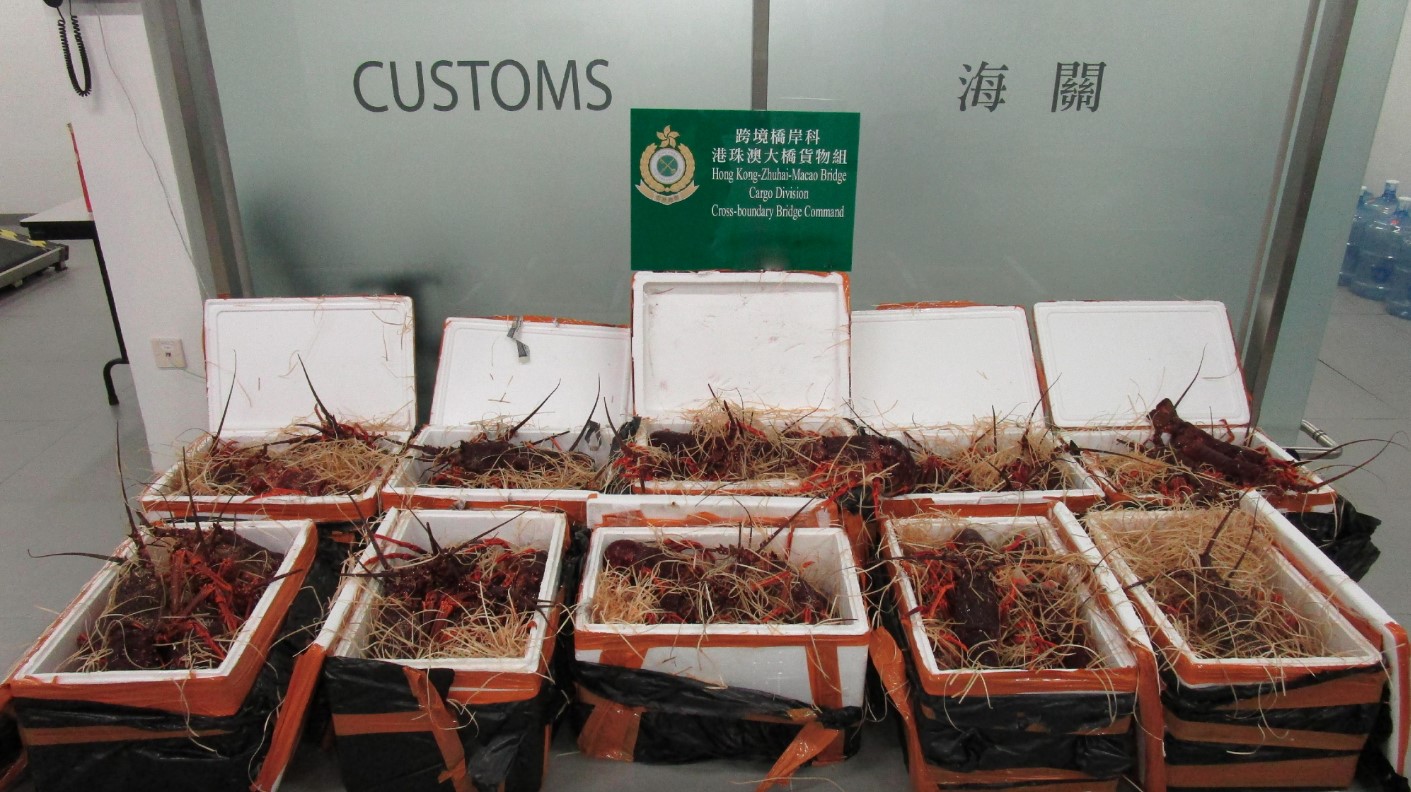 Hong Kong Customs Agents Seize Smuggled Live Lobsters, Hairy Crabs